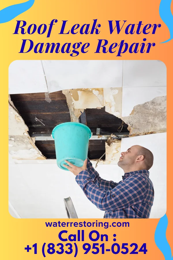 Roof Leak Water Damage Repair in Osterdock, IA